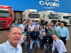 cvale